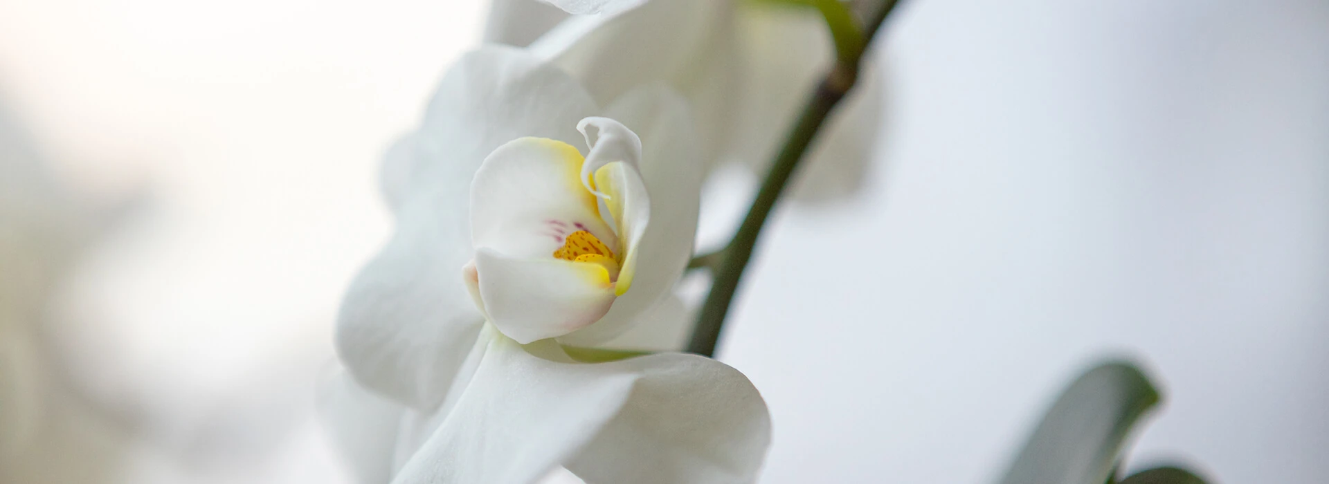 Sleep apnea treatment at Downtown Dental Design in Austin TX